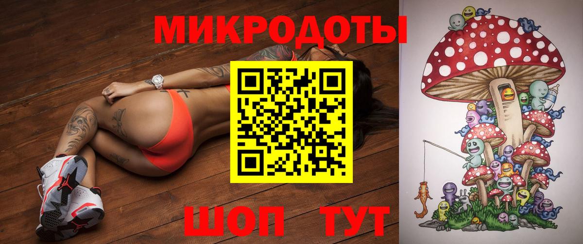 Галлюциногенные грибы Psilocybe  Вход с VPN  как найти закладки  Советская Гавань  Псилоцибиновые грибы Psilocybe 
